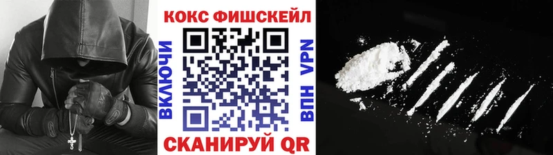 Cocaine FishScale где можно купить наркотик Кисловодск