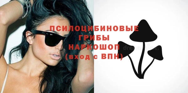 хмурый Волосово