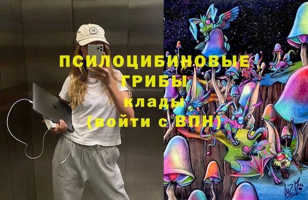 шишки Волоколамск