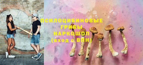 шишки Волоколамск