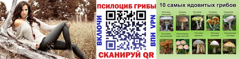 ОМГ ОМГ tor  Кисловодск  Псилоцибиновые грибы MAGIC MUSHROOMS 